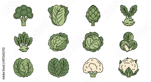 Collection of fresh green vegetables and cruciferous produce illustrations