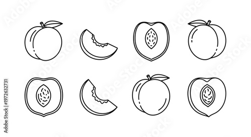 Collection of simple line art illustrations of peaches and peach slices