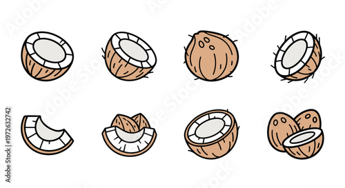 Collection of hand-drawn coconut icons in various stages of being cut open
