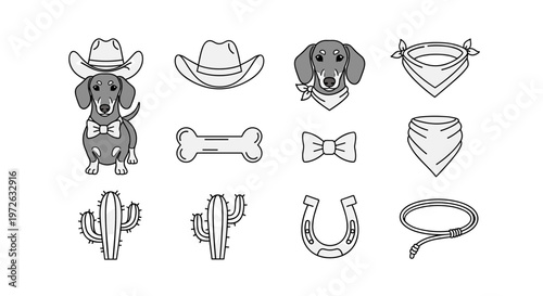 Cute dachshund dog wearing a cowboy hat and bow tie with western accessories