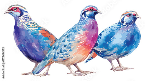 Exquisite Watercolor Illustration Three Quail Hand-Drawn Sketch Artistic Vibrant Colors