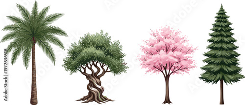 Various tree species illustration set including palm bonsai cherry blossom and pine trees realistic nature collection for landscape design