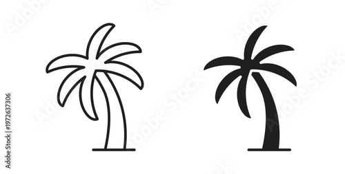 Palm tree icon on white background. icon set