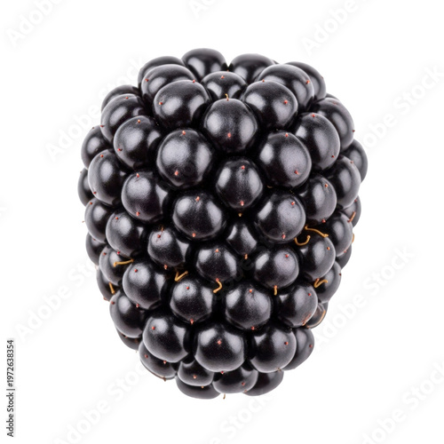 Blackberry isolated on transparent background