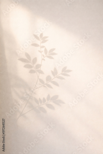 Warm Sunlight and Plant Shadow on Neutral Wall Minimal Background