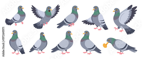 Cute pigeon mascot vector set, comic dove character in playful poses like eating, flying, and resting, garish doodle style illustration representing peace and freedom for creative design projects.