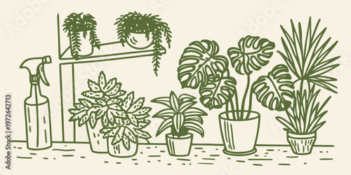 A collection of potted houseplants and plant care tools indoors