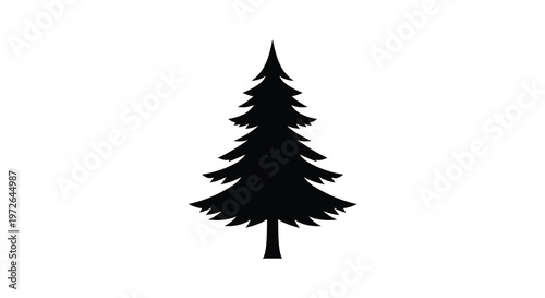 A stark black silhouette of a coniferous evergreen tree stands prominently against a bright white background silhouette
