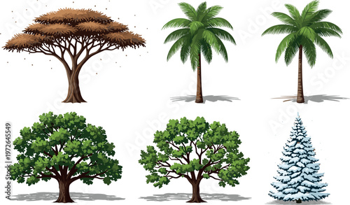 Realistic tree collection with various species including palm oak pine and tropical trees detailed nature illustration set for landscape design