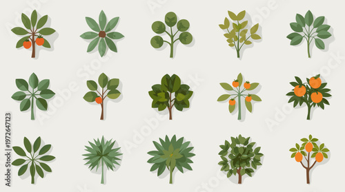 A calming, minimalist image of a green plant branch with soft shadows. Ideal for conveying concepts of nature, growth, and wellbeing in wellness, life