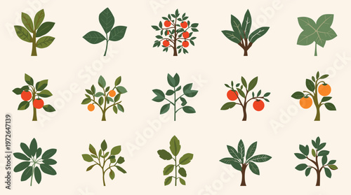 A serene and simple botanical image, ideal for wellness brands, organic products, or adding a touch of natural elegance to designs. It evokes calm and