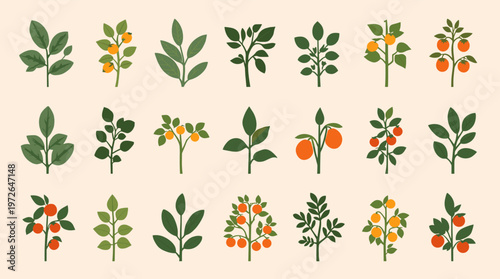 A simple, modern illustration of a branch with bright orange berries and green leaves against a neutral background, ideal for clean design projects an