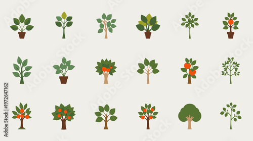 A clean, simple illustration of a tree bearing fruit. This image evokes feelings of growth and freshness, suitable for website graphics, educational m
