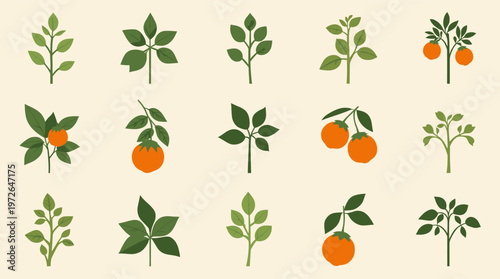 A simple, elegant illustration of a green branch against a neutral background. Perfect for backgrounds, website elements, or conveying concepts of nat