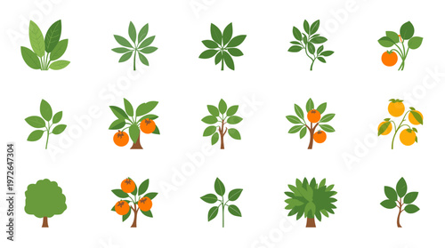 A simple, modern illustration of a green tree against a white background. Ideal for eco-friendly branding, nature-themed websites, or educational mate