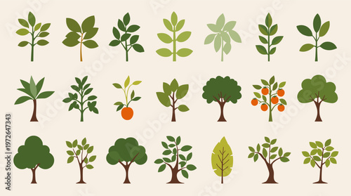 A simple, calming illustration of a tree. Perfect for backgrounds, website design, or concepts related to nature, growth, and sustainability.