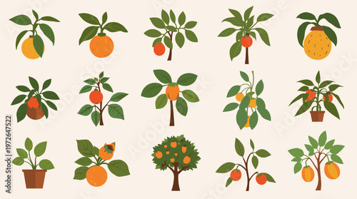 A calming, stylized image of a potted plant. Perfect for backgrounds, website design, or illustrating concepts of growth, nature, and wellbeing.