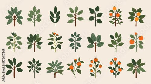 A minimalist and calming botanical design. Perfect for backgrounds, wellness content, or adding a touch of nature to websites and marketing materials.