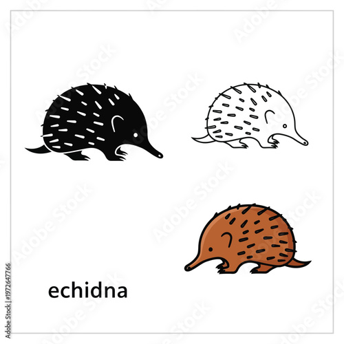 Echidna icon set vector echidna flat design echidna vector graphic echidna illustration.