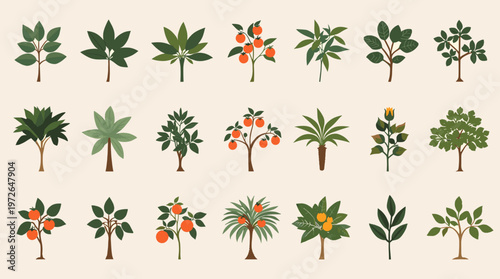 A minimalist illustration of a tomato plant. Perfect for websites, social media, or marketing materials needing a fresh and organic feel, conveying gr