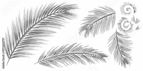 Elegant feather arrangements in grayscale creating a delicate airy design