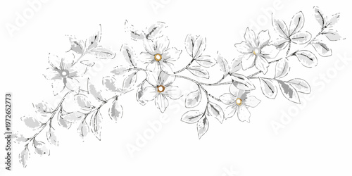 Delicate floral branch sketch with blossoming white flowers and golden centers