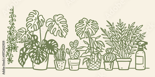 A collection of potted houseplants and gardening tools in green tones