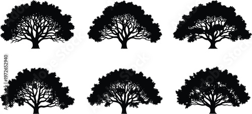 Set of stylized black silhouettes of large deciduous trees on transparent background.