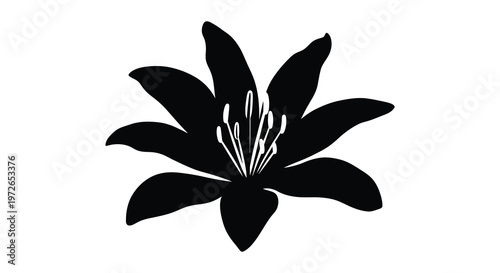 A striking black floral design showcases a fully bloomed lily with elegant curves presented as a silhouette