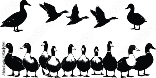 Duck goose silhouette illustration, waterfowl bird design, flying standing posture artwork, black blue vector graphic, nature inspired decorative pattern element