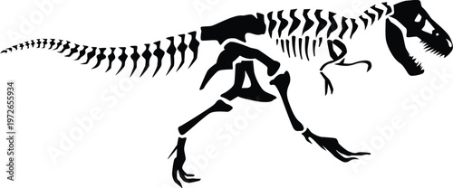 A detailed skeletal illustration of a theropod dinosaur in mid-stride motion