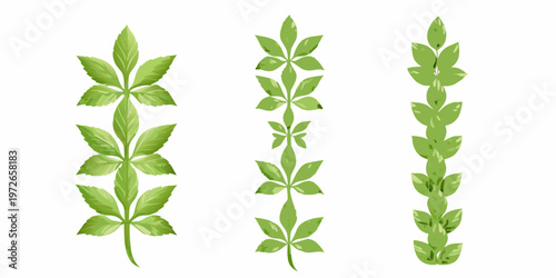 Three green plant stems with vibrant detailed leaf arrangements