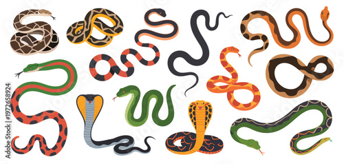 Decorative snake illustration collection, vector graphics of diverse reptiles with detailed scales, tropical patterns, and various species, ideal for educational, wildlife, and nature-themed projects.