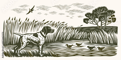 A vintage style illustration of a hunting dog and waterfowl scene