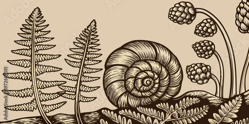 Detailed engraving of ferns a snail shell and various plant life