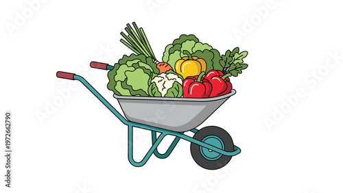 Metal wheelbarrow with a single wheel is brimming with a colorful harvest of green cabbage broccoli cauliflower and red bell peppers.