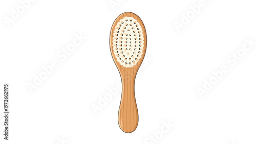 Oval-shaped wooden hairbrush with a natural finish and white bristles is shown from a top-down perspective on a white background.