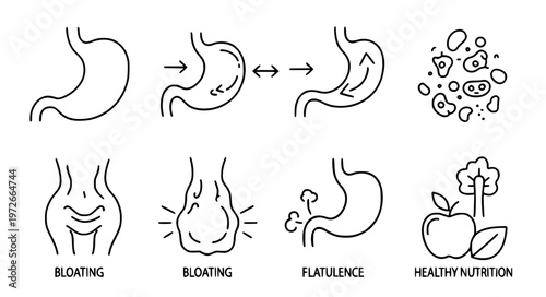Minimal digestion stomach thin line vector icon set EPS10 transparent