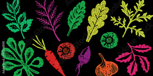 Colorful botanical illustration featuring various leaves roots and vegetables