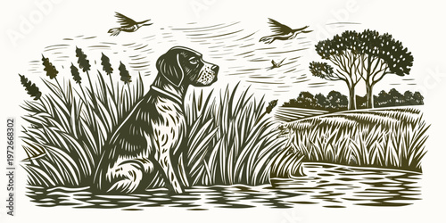 A watchful dog sits in tall grass observing birds in flight