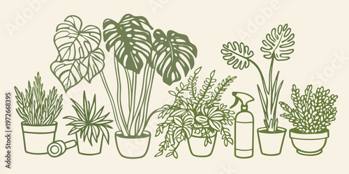 A collection of potted houseplants and gardening tools in green tones