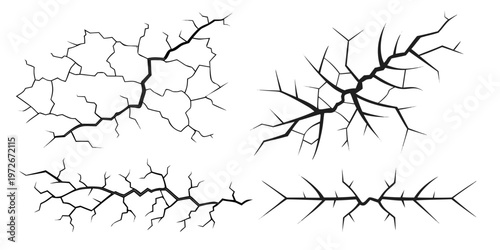 Intricate sketches of a spider and its web with detailed anatomy lines.