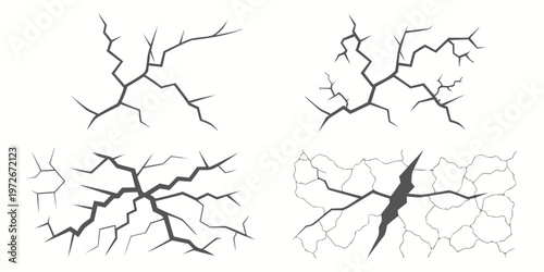 Intricate ink illustrations of delicate flowers and a bird on a branch