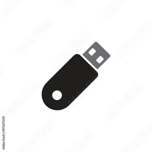 USB Flash Drive Icon Vector