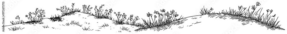 Fototapeta premium Grassy hills with wildflowers and meadow landscape in hand drawn engraving style