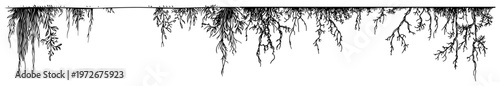 Hanging roots and tangled vines descending from above in sketch style