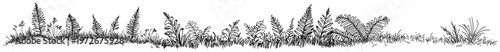 Dense horizontal border of ferns and forest vegetation in sketch style