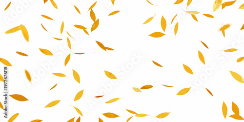 Falling golden leaves against a clean white background