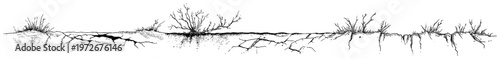 Cracked soil surface with small dry shrubs and weeds in line art style