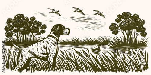 A pointer dog gazes upwards at flying birds over a serene landscape